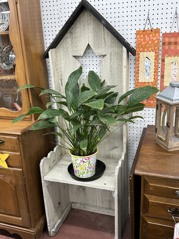 Unique Bench - Plant Stand with Star Cutout